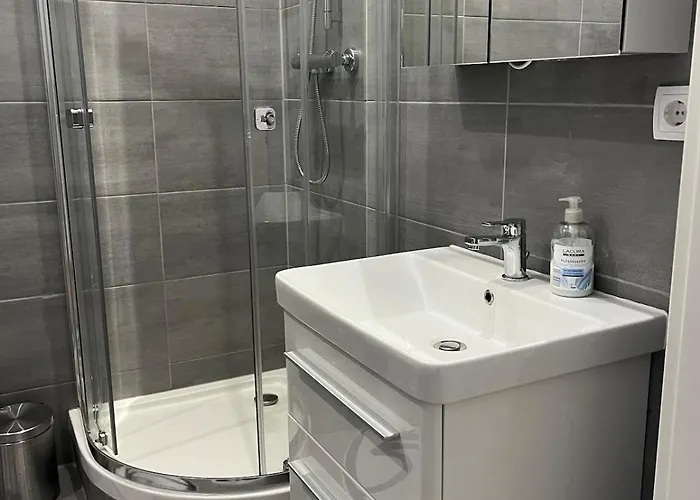 Apartament Modern - Zentral *